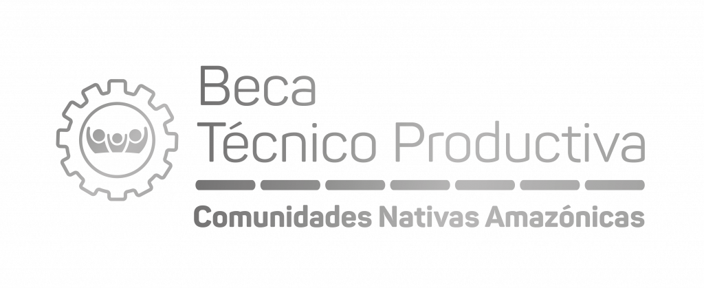 beca técnico productiva carreras universitarias en gris0