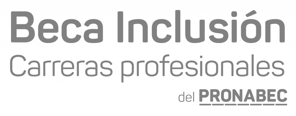 Beca-Inclusión-Carreras-Profesionales
